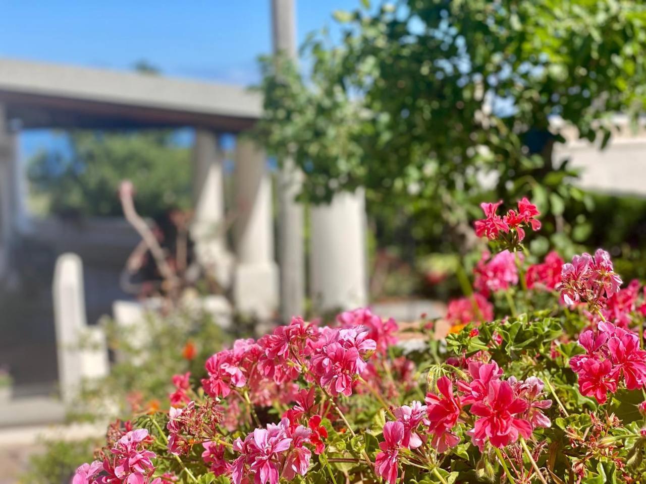 Casa Zagami Villa Malfa  Eksteriør bilde
